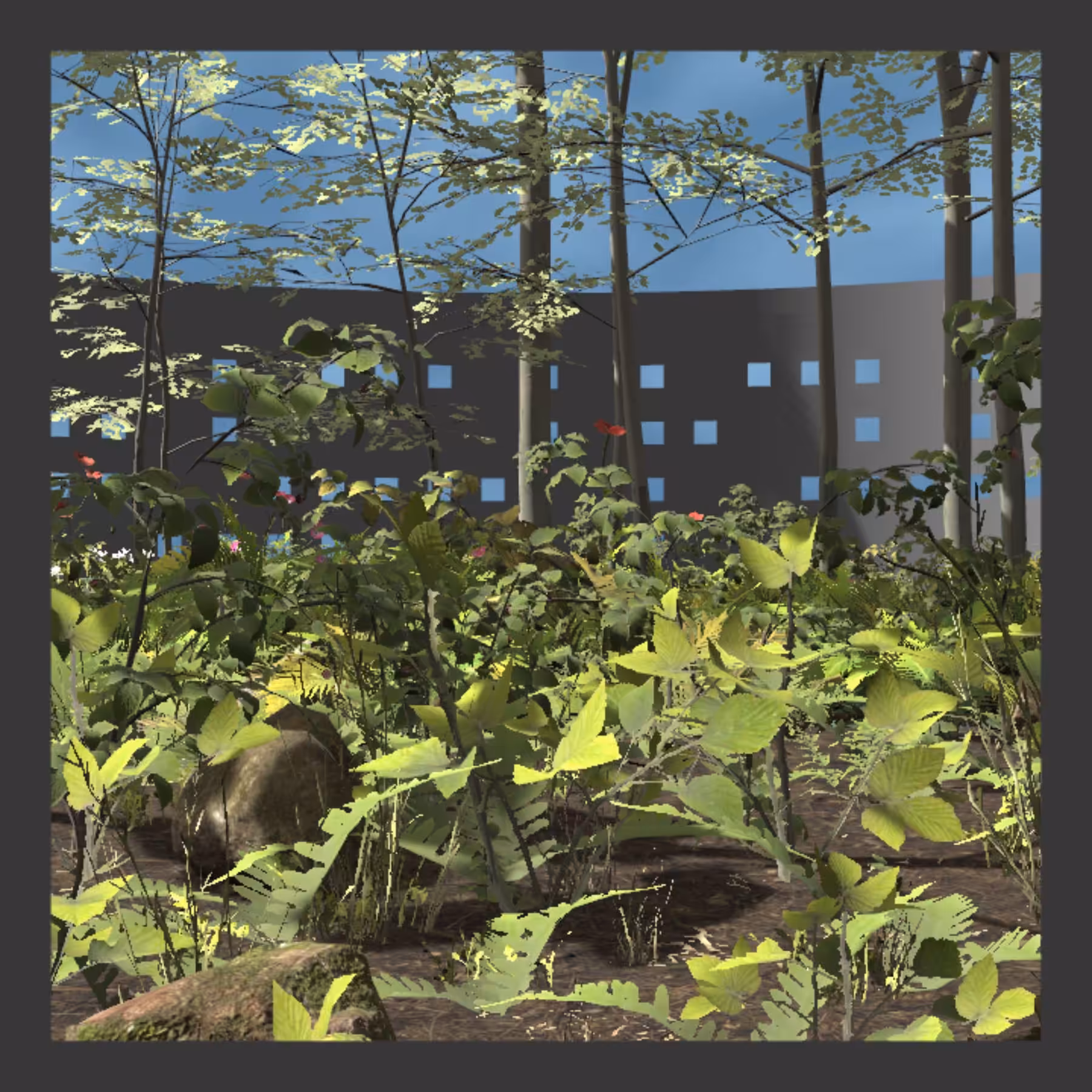 Walled Garden #51
